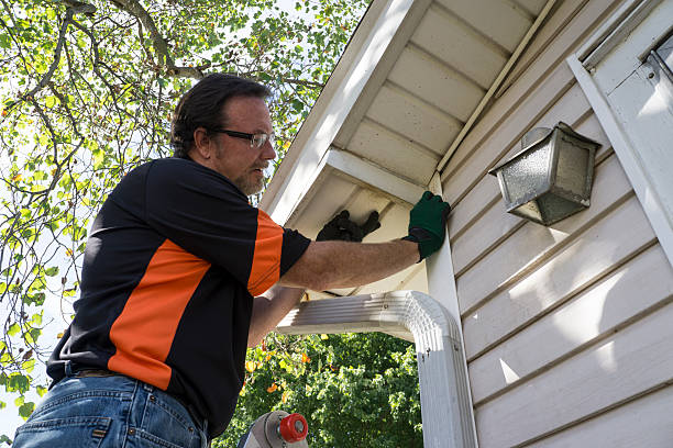 Best Stone Veneer Siding  in Richwood, TX